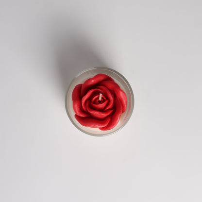 Maison Rose