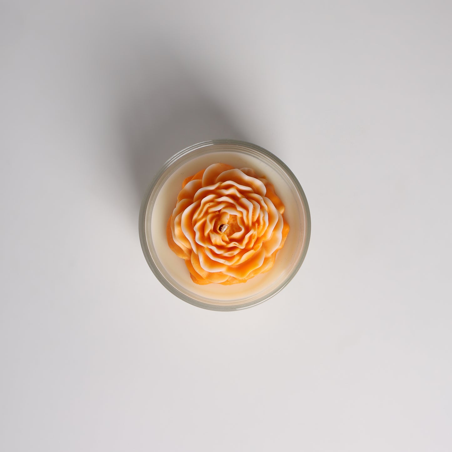 Peony Bloom
