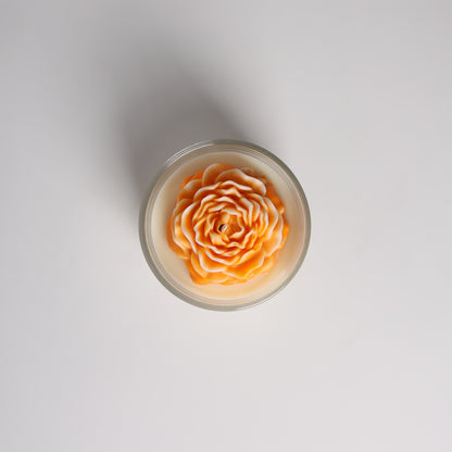 Peony Bloom