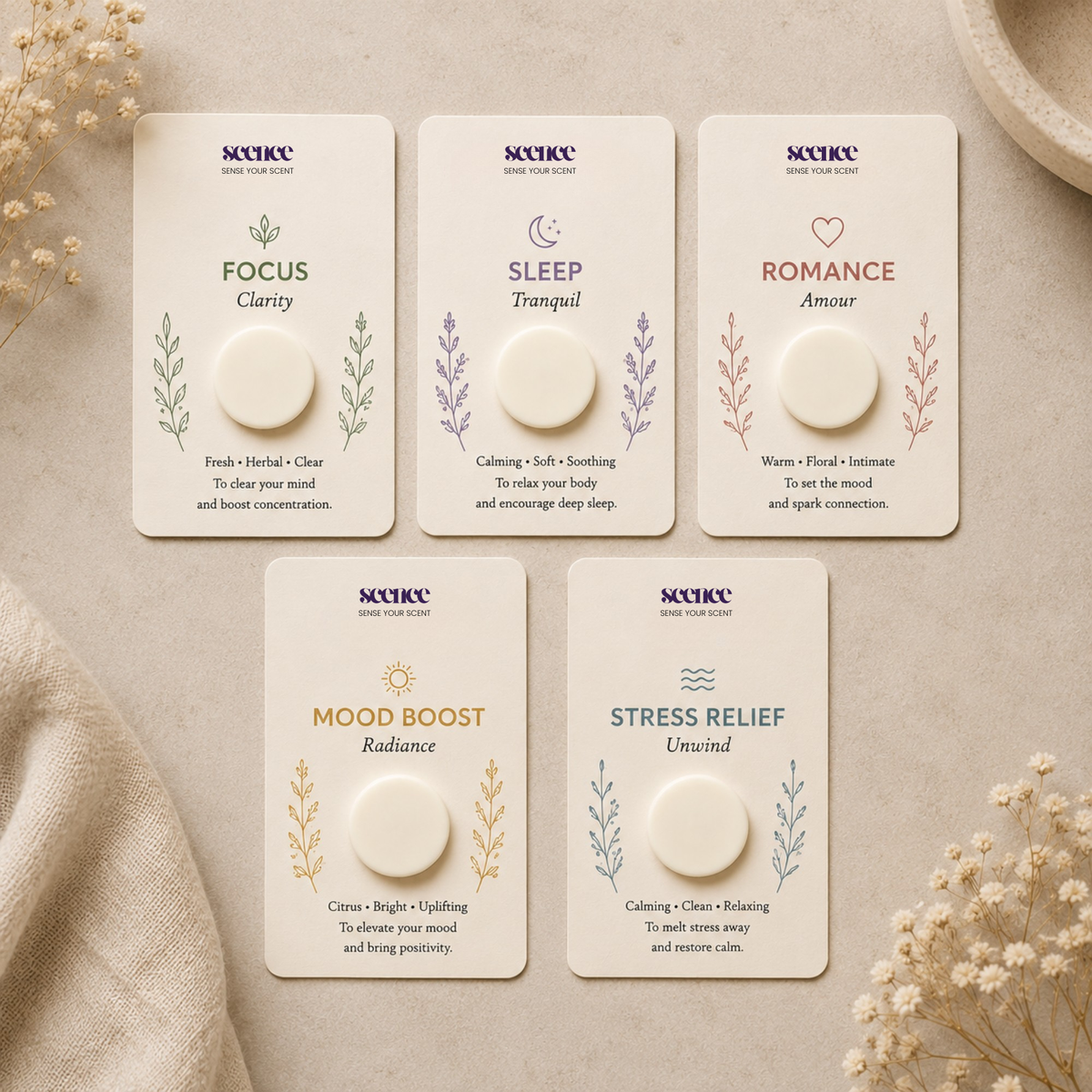 Scent Discovery Kit