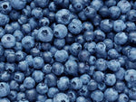 Blueberry