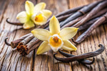 Vanilla