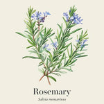 Rosemary